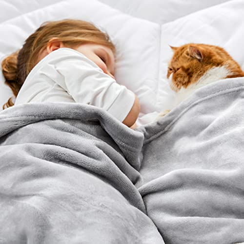 Image of Bedsure GentleSoft Bedding Fleece Blanket for Girls and Boys - Soft Cozy Cute Small Throw Blankets for Travel, 43x55 Inches, Light Grey