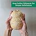 Natural Loofah Exfoliating Sponge (3 Pack) - Loofa Body Scrubber - Loofah Sponge - Loofah Exfoliating Body Scrubber - Organic Loofah - Shower Luffa Sponges - Exfoliating Loofah - Biodegradable Loofah