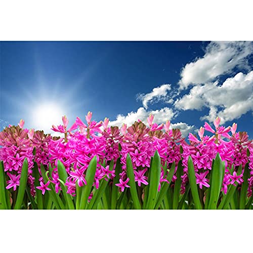 Diamond Painting Rose Grand Format pour Sublimer la Décoration de la Chambre