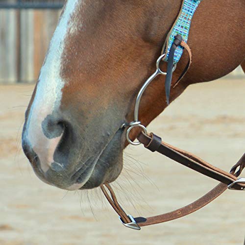Classic Equine Carol Goostree Simplicity Shank Barrel Bit With Twisted Wire Dr. Bristol, 5-Inch #TOP1