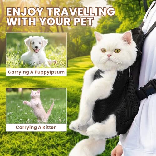 Katzentasche, Tragerucksack Katze, Faltbare Katzenrucksack, Katzentragerucksack, Hunderucksack, Haustier Rucksack bis 6kg für Klein Hunde Katzen Welpen