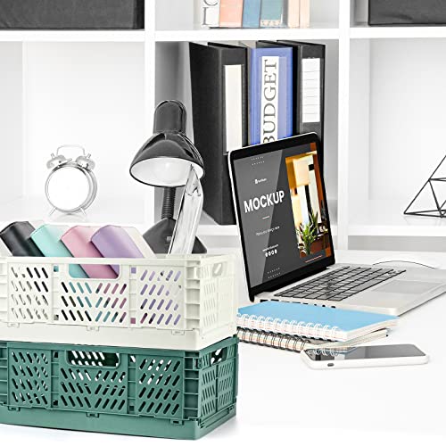 FHzytg 4 Stück Faltbare Klappboxen, Körbe Korb Faltkisten Plastik aus Kunststoff Aufbewahrung Korb Klappkiste Stabil (30.5 * 20.5 * 12.5cm)