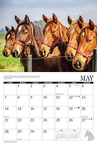 2023 Horses Wall Calendar #TOP2