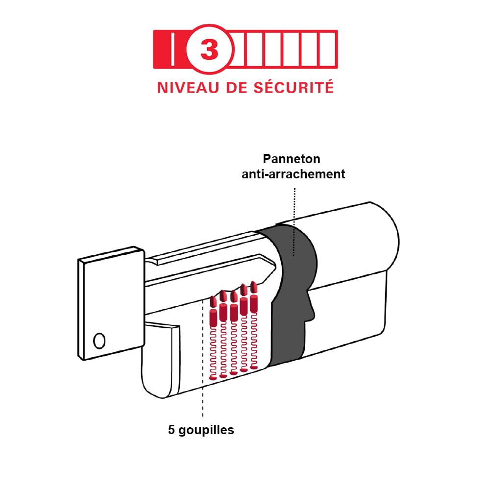 THIRARD Cylindre de serrure double entrée, 30 x 80 mm, nickel, 3 clés | Double entrée, finition nickelée, sécurité renforcée, dimensions 30 x 80 mm, compatible portes standard, 3 clés incluses
