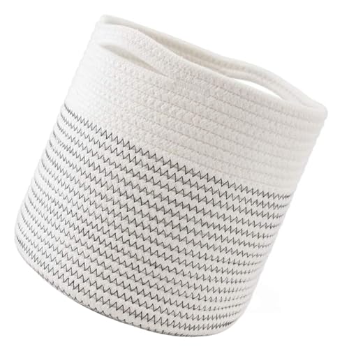 ERINGOGO Fی^҂ݍݎ[oXPbg eʑpr[e ߗނGݐ CeAɂftHgvbvƂĂ