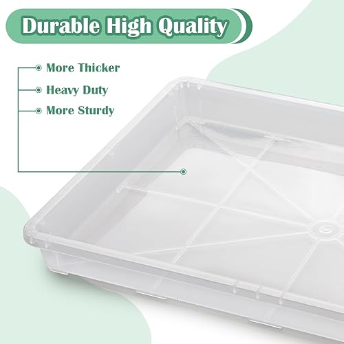 Vista 38 de Paquete de 5 bandejas para macetas de guardería, bandeja de transporte y sujeción para plantas para maceta, soporte de transporte de 24 celdas