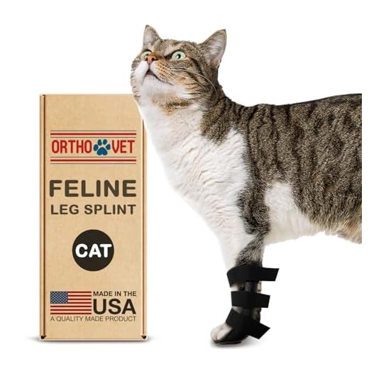 Durable Cat Leg Brace for Injury Recovery