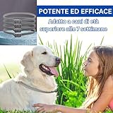 SSS SALLYSS B0FG9N4QFT lato 4