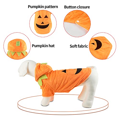 Disfraz de Calabaza para Perro Medium miniatura 5