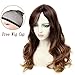 Lady Miranda Ombre Wig Brown Mixed Light Brown High Density Heat Resistant Synthetic Hair Weave Full Wigs For Women (T-Brown)
