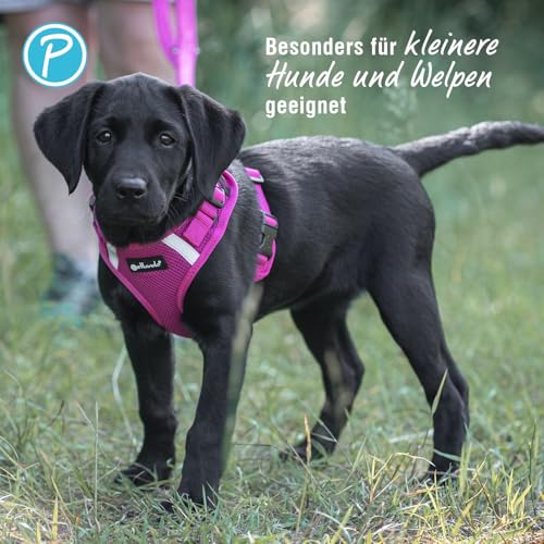 Petlando Hundegeschirr Mesh Vest, leichtes Brustgeschirr aus weichem Mesh & Nylon, stufenlos verstellbar, reflektierend mit 2 D-Ringen, Fuchsia M, Welpengeschirr mitwachsend