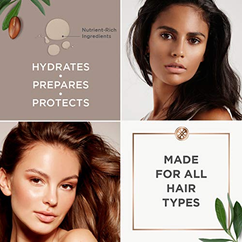 Argan Magic Blow Dry Accelerator & Priming Spray – Primes Hair For Heat Styling | Cuts Blow Drying Time | Formulated With Argan Oil & Botanical Extracts | Made In Usa | Paraben Free (8.5 Oz) #TOP4
