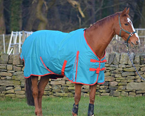 Alfombra ligera de 100 g para caballo Turners que evita el frío sin sudar