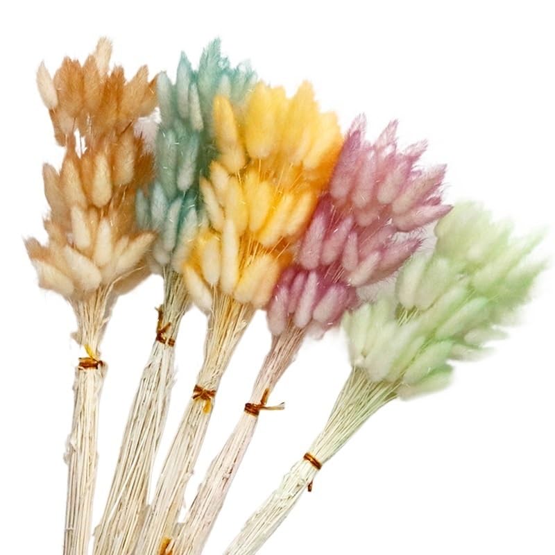 Ramo de Pasto Pampas Seco Natural 30 piezas Marrón miniatura 2