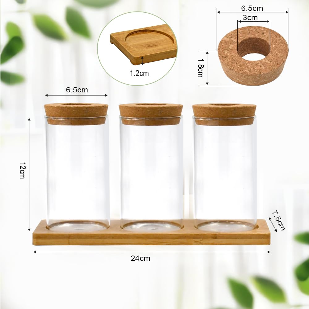 Estación de Propagación de Plantas Jarrón Hidropónico Cristal Jarrón Cultivo Hidropónico Bandeja Vidrio para Cultivo Hidropónicas 3 Jarronita300ml Cristal Decorativas para Esquejes de Plantas