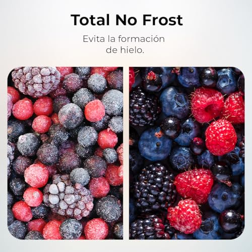 Cecotec Koelkast Combi 2 deuren Retro 294 L Bolero CoolMarket Combi Origin 294 Blue E Hoogte 190 cm 60 Breedte Total No Frost, Multi Cooling, Ultra Fresh, Convertible Box, Blauw - Image 5