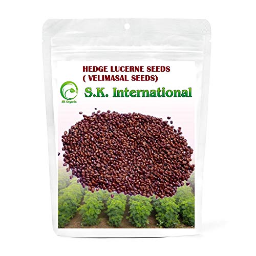 Image of SK Organic Compatible with Hedge Lucerne (Velimasal Grass /Dasrath Grass) Seeds 500 GMS