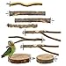 9 St&uuml;ck Natur Sitzstangen Set, Vogelspielzeug Holz Wellensittich Zubeh&ouml;r Vogelk&auml;fig Zubeh&ouml;r Vogel Spielzeug f&uuml;r Nymphensittich Spielzeug Kanarienvogel Papagei Stehend Vogelk&auml;fig