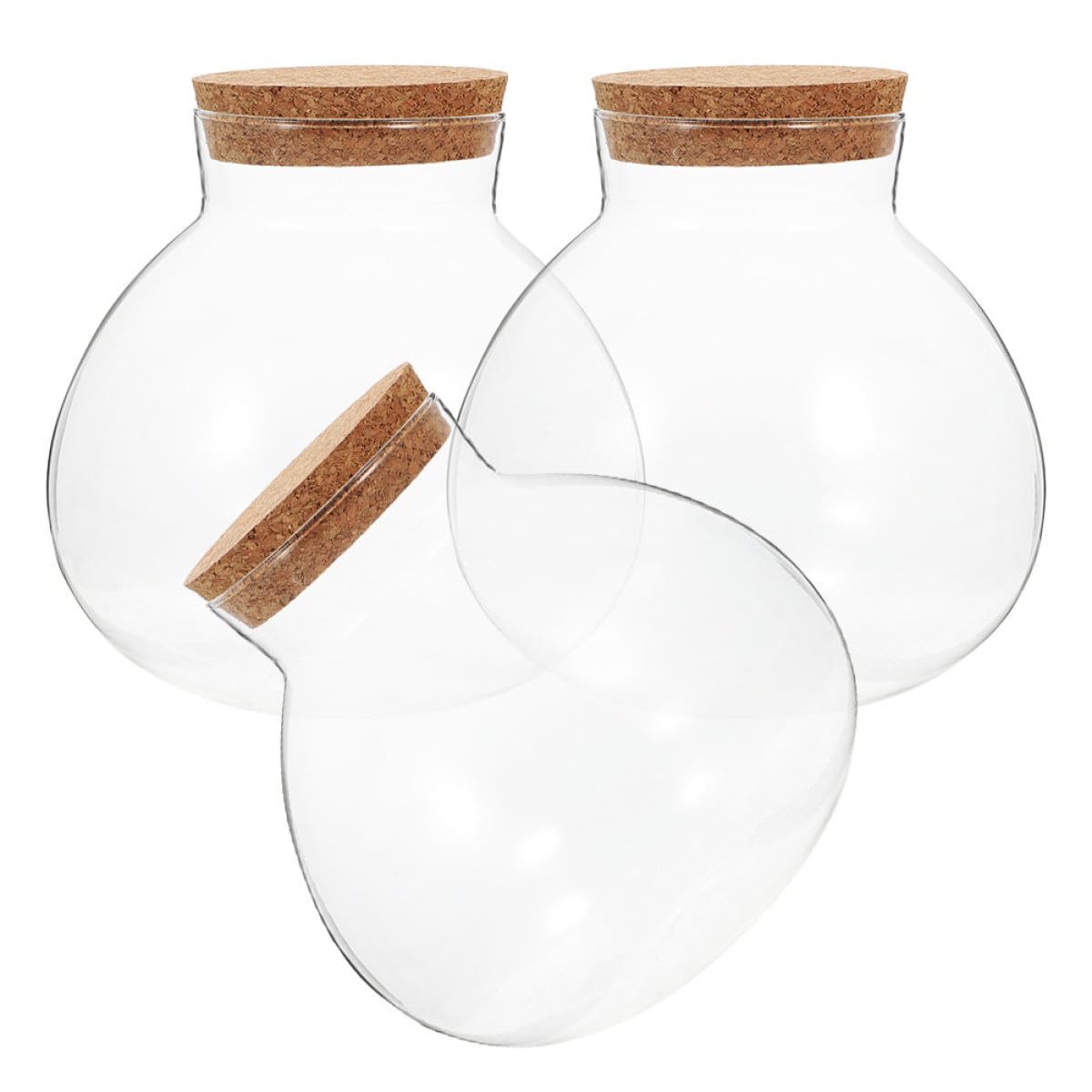 Bouteille en verre sphérique pour micro-paysage et décoration