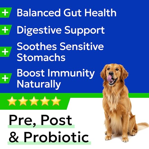 Advanced Dog Probiotics for Gut Health - Made in the UK - Pre, Post & Probiotic Treats - Dogs Digestive Health Sensitive Tums Support - All Breeds & Ages - Probiotics for Dogs (60 Ct)