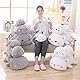 LICHENGTAI Plüschtier, Kawaii Stofftiere Katzen Kissen Kätzchen Katze Tier Puppe, Plüsch Kissen ausgestopftes Tier Kissen Plüschtier, Kinder Spielzeug Geschenk Gefüllt (Grau 02-50cm)