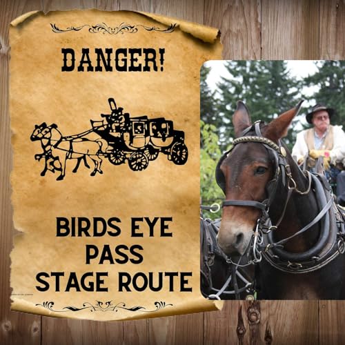 The Dangerous Birds Eye Stage Route cover art