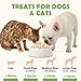 MON2SUN Freeze-Dried Chicken Dog and Cat Treats, Single Ingredient Training Treats, High Protein Grain-Free Snack & Food Topper, 6 oz