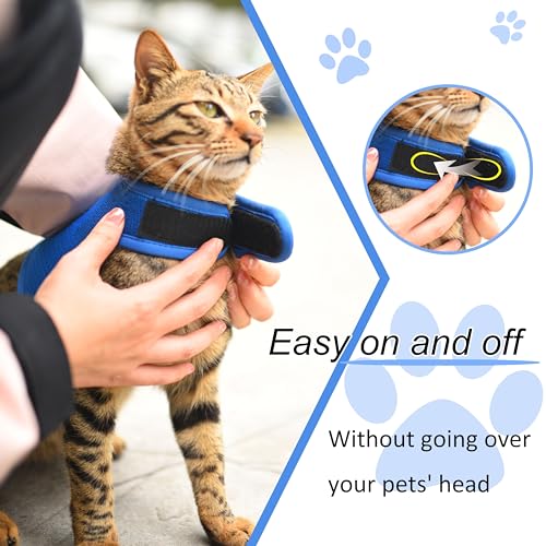 Image of Kitty Harness and Leash for Walking Escape Proof Breathable Mesh Fabric, Solid Blue, Small, Adjustable Cat Walking Jackets, Padded Stylish Cat Vest