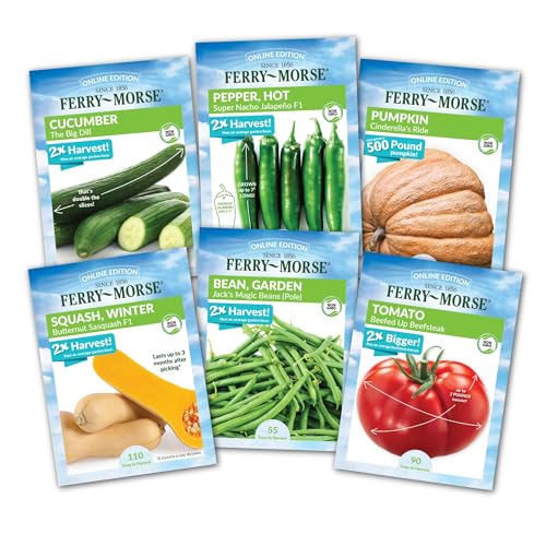 Image of Ferry Morse Vegetable Seed Variety Pack - Non-GMO - 6 Pack - Ferry-Morse Exclusive