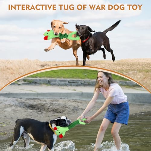 IOKHEIRA Hundespielzeug Unzerstörbar Weihnachten - Robust Quietschend Tau Seil für Große Kleine Hunde - Interaktives Quietschendes Stofftier & Kuscheltier zur Beschäftigung, Zerren für Welpen (Groß)