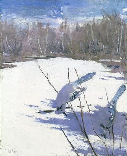 Art tableau Jays en hiver Thayer image sur toile pour une ambiance sereine