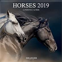 draeger 79003093grande calendario da parete 29x 29cm Cavalli 2019