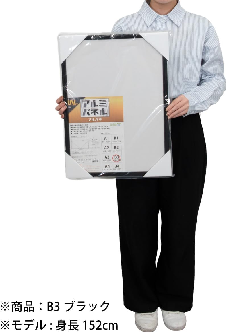 Large Aluminum Panel Poster Frame 5016 B3 Black