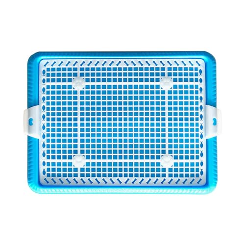 Zynphancer bVgCg[jOgC  PP ~ 2.2cm p 傫46×33cm ()