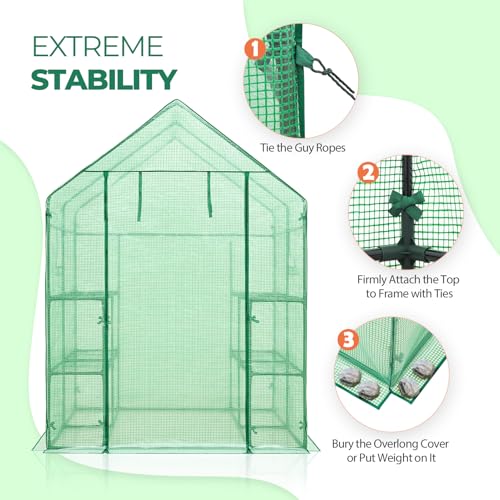 Image of EAGLE PEAK Walk in 3-Tier Greenhouse with Wire Shelves, Portable Indoor and Outdoor Green House with Roll-Up Zippered Door & 2 Roll Up Windows, 8 Shelves, 56 inchx56 inchx77 inch, Clear /Green PE Cover