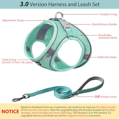 AIITLE No Pull Hundegeschirr, Step in einstellbares Hundegeschirr mit gepolsterter Weste, Hundeleine mit weichem gepolstertem Griff, leicht anzulegen für kleine und mittlere Hunde Reines Türkis S