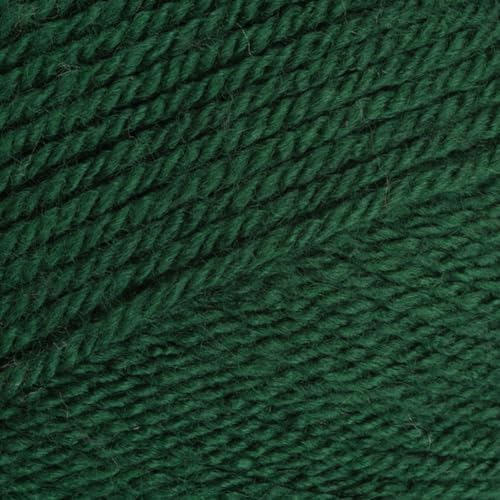 Stylecraft Special DK - Bottle (1009)