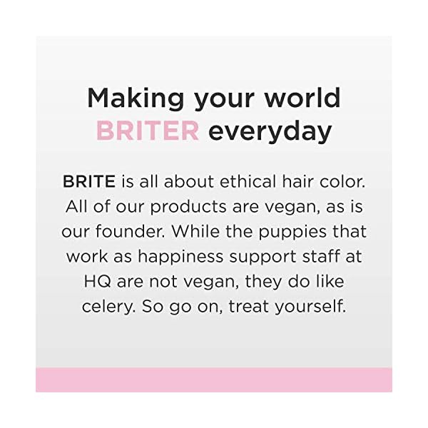 Brite-Mango-Hair-Masque-Nourishing-Vitamin-E-Hydrating-Fatty-Acids-to-Condition-Protect-Repair-Strengthen-Hair-Vegan-Cruelty-Free-100ml Brite Mango Hair Masque - Nourishing Vitamin E & Hydrating Fatty Acids to Condition, Protect, Repair & Strengthen Hair - Vegan & Cruelty-Free (100ml)