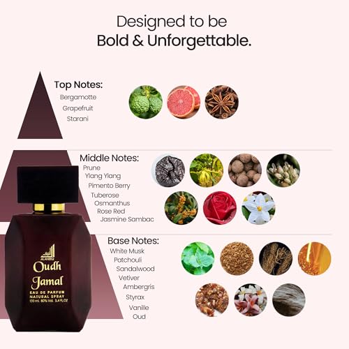 AL ANEEQ Oudh Jamal Perfume for Men | Arabic Perfume Oud for Men Eau de Parfum 100ml - Image 5