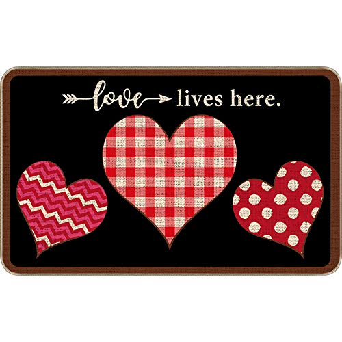 Valentine's Day Doormat Heart Pattern Entrance Mat Bathroom Rugs Non Slip Washable Welcome Mats For Indoor Outdoor Decoration, 28 X 17 Inch #TOP14