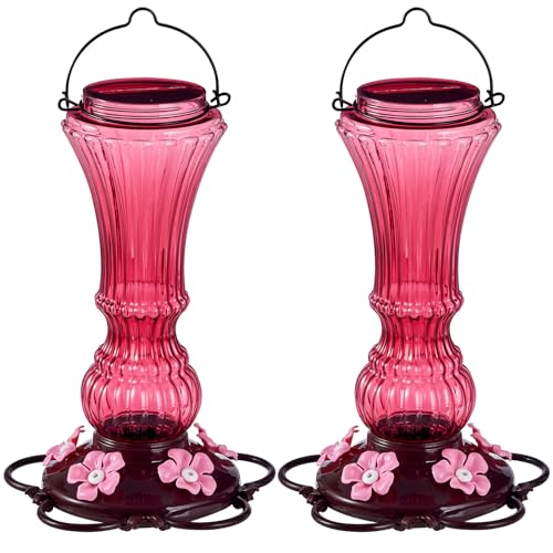 Beserie 2 Pack Hummingbird Feeder for Outdoors Plastic Bee Proof Humming Bird Nectar Feeders with 5 Flower Feeding Ports Hanging for Outsides Garden Decor, 20 oz