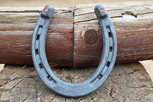 Talismans Good Luck Horseshoe with Two Nails