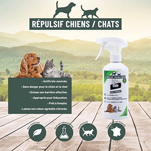 Flacon spray K-OCIDE