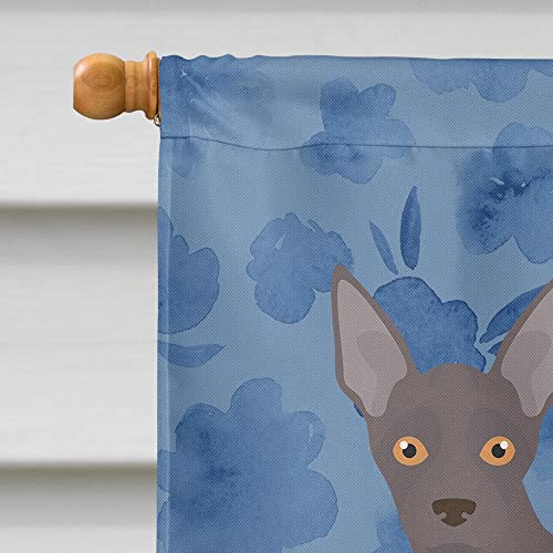 Drapeau Abyssinian Sand Terrier en toile haut de gamme
