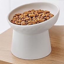 Cat Food Bowl, Ceramic Cat, Dish, 15° Inclination, For Cats, Food Bowl, For Drinking Watering, Reduces Strain On The Neck And Lower Back, Prevents Spitting Back, Easy To Wash, For Cats, Dishes, Cat