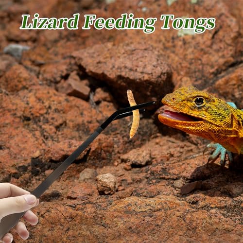 Image of Reptile Feeding Tongs, Stainless Steel Lizard Feeding Tongs, Aquarium Curved Feeding Tweezers for Reptiles with Rubber Tip, Terrarium Feeding Tongs 14.96 inch L, Black Silver Tone