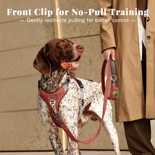 Image of Didog No Pull Dog Harness for Medium Dogs, Classic PU Leather, Brown, L
