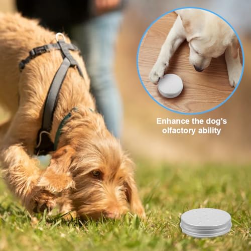 NOPKESV 5 Stück Hundeduftboxen,Training Hundeduft Nase Geruchsbehälter,Aluminium-Duftdosen, Dufttrainingswerkzeuge, Agility-Trainingsgeräte für das Welpendufttraining