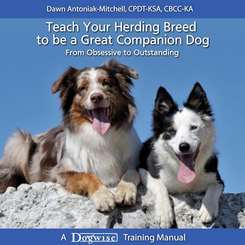 Listen to Teach Your Herding Breed to Be a Great Companion Dog by Dawn Antoniak-Mitchell episode artwork