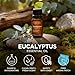 Gya Labs Eucalyptus Essential Oil - 0.34 Fl Oz - for Hair, Skin, Diffuser, Aromatherapy & DIY Candle Making Scent
